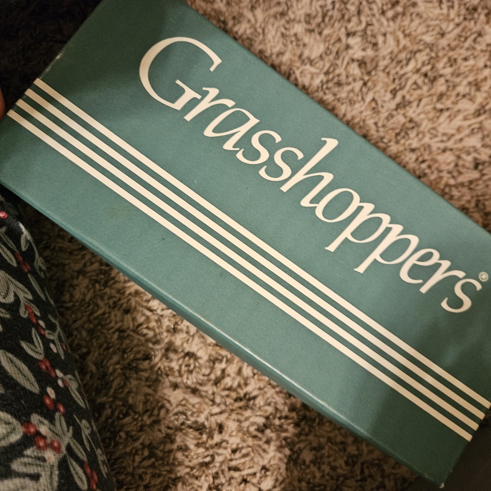 New Vintage Grasshopper - image 3